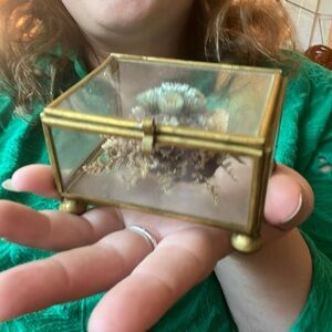 Brass Box With Dry Flowers